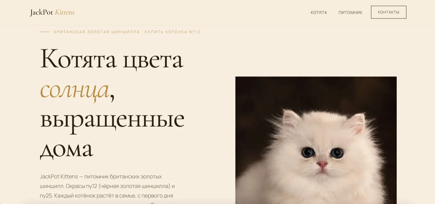 JackPot Kittens — сайт питомника